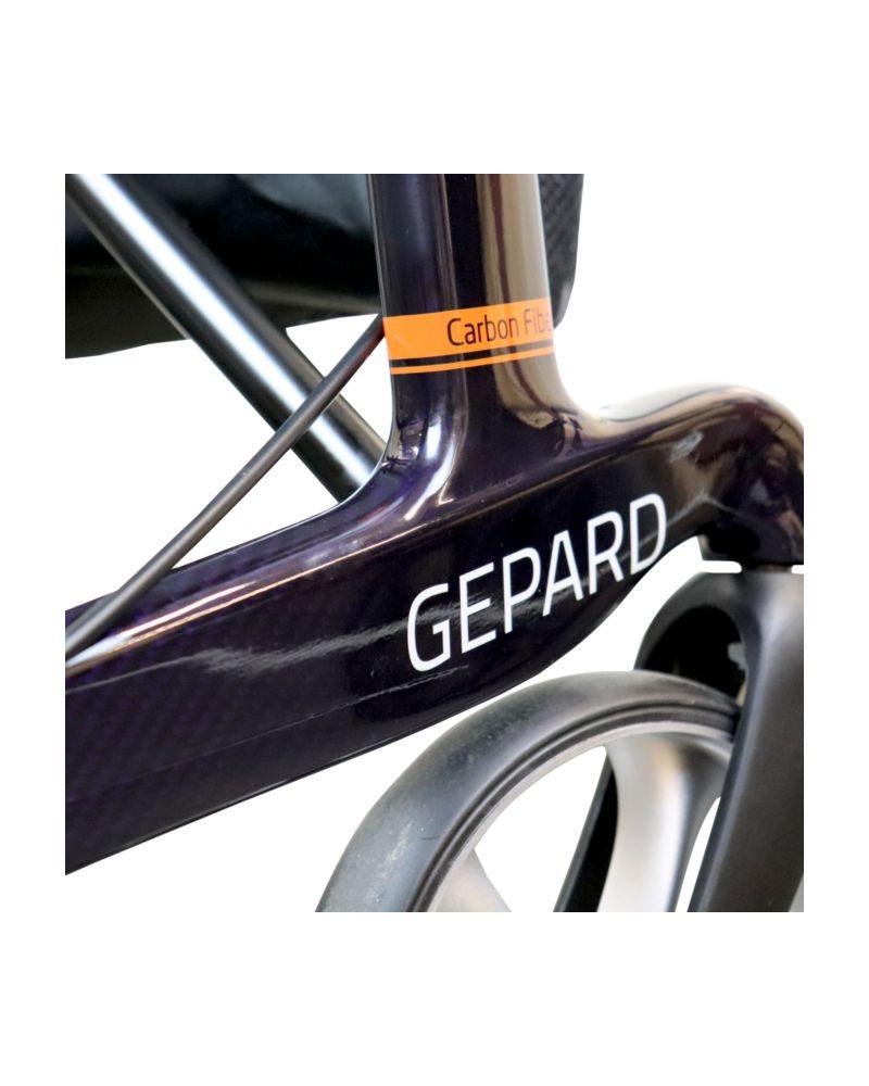 gepard_lilla_sort__closeup__9716